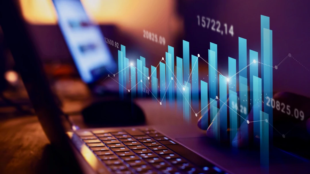 comp Mobilises capital from institutional investors lenders DFIs and partners